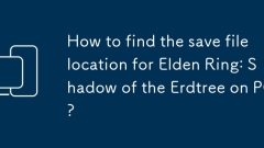 How to find the save file location for Elden Ring: Shadow of the Erdtree on PC?