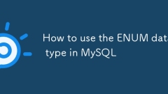 Comment utiliser le type de données en en enUm dans MySQL