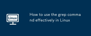 Linux에서 GREP 명령을 효과적으로 사용하는 방법