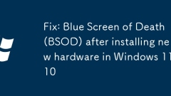 Fix: Blue Screen of Death (BSOD) after installing new hardware in Windows 11, 10