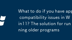 What to do if you have app compatibility issues in Win11? The solution for running older programs