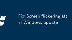Fix: Screen flickering after Windows update