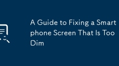 Panduan untuk menetapkan skrin telefon pintar yang terlalu redup