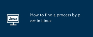 Linux의 Port에서 프로세스를 찾는 방법
