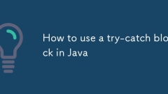 How to use a try-catch block in Java