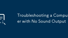 Troubleshooting a Computer with No Sound Output