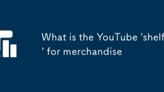 Quelle est la ?plate-forme? YouTube pour les marchandises