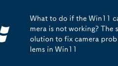 What to do if the Win11 camera is not working? The solution to fix camera problems in Win11