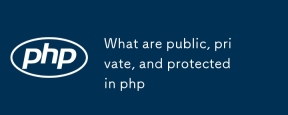 PHP中有什么公共,私人和保护