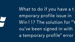 What to do if you have a temporary profile issue in Win11? The solution for 'You've been signed in with a temporary profile' error