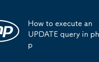 How to execute an UPDATE query in php