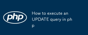 How to execute an UPDATE query in php
