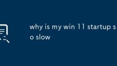why is my win 11 startup so slow