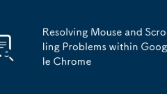 Resolving Mouse and Scrolling Problems within Google Chrome