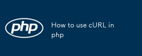 How to use cURL in php