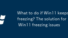 What to do if Win11 keeps freezing? The solution for Win11 freezing issues