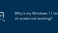 為什麼我的Windows 11觸摸屏不起作用?