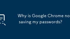 為什麼Google Chrome不保存我的密碼?