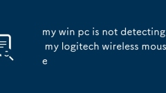 我的Win PC沒有檢測到我的Logitech無線鼠標
