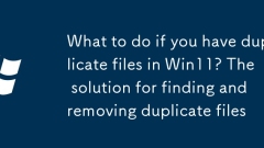 What to do if you have duplicate files in Win11? The solution for finding and removing duplicate files
