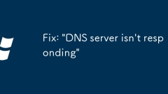 Fix: 'DNS server isn't responding'