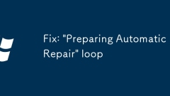 Fix: 'Preparing Automatic Repair' loop