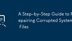 A Step-by-Step Guide to Repairing Corrupted System Files