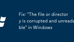 Fix: 'The file or directory is corrupted and unreadable' in Windows