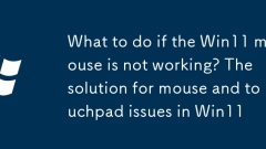 What to do if the Win11 mouse is not working? The solution for mouse and touchpad issues in Win11
