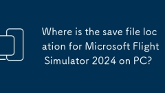 Where is the save file location for Microsoft Flight Simulator 2024 on PC?