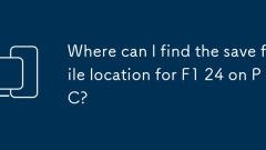 Where can I find the save file location for F1 24 on PC?