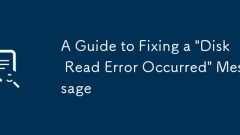 A Guide to Fixing a 'Disk Read Error Occurred' Message