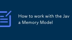 How to work with the Java Memory Model