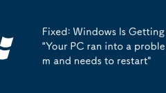Fixed: Windows Is Getting 'Your PC ran into a problem and needs to restart'