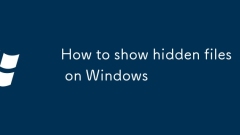 How to show hidden files on Windows