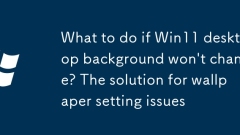 What to do if Win11 desktop background won't change? The solution for wallpaper setting issues