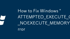 How to Fix Windows 'ATTEMPTED_EXECUTE_OF_NOEXECUTE_MEMORY' Error