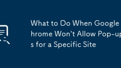 What to Do When Google Chrome Won't Allow Pop-ups for a Specific Site