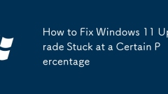 How to Fix Windows 11 Upgrade Stuck at a Certain Percentage
