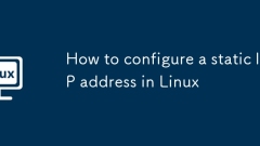 So konfigurieren Sie eine statische IP -Adresse unter Linux