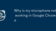 Mengapa mikrofon saya tidak berfungsi di Google Chrome
