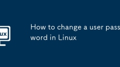 How to change a user password in Linux