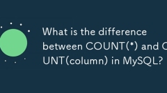 Quelle est la différence entre le nombre (*) et le nombre (colonne) dans MySQL?