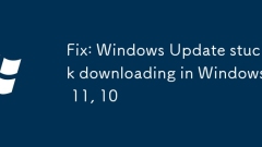 Fix: Windows Update stuck downloading in Windows 11, 10