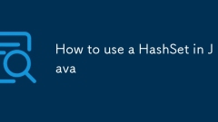How to use a HashSet in Java