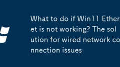 Apa yang perlu dilakukan jika Win11 Ethernet tidak berfungsi? Penyelesaian untuk masalah sambungan rangkaian berwayar