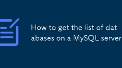 Comment obtenir la liste des bases de données sur un serveur MySQL?
