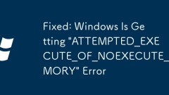 Tetap: Windows mendapat ralat 'percubaan_execute_of_noexecute_memory'