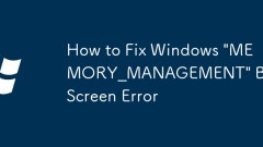 So reparieren Sie Windows 'mpashion_management' Blue Screen -Fehler