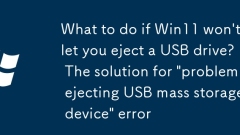 Was zu tun ist, wenn Win11 nicht zul?sst, dass Sie ein USB -Laufwerk auswerfen? Die L?sung zum Fehler 'Problemausschluss von USB -Massenspeichern' -Fehler